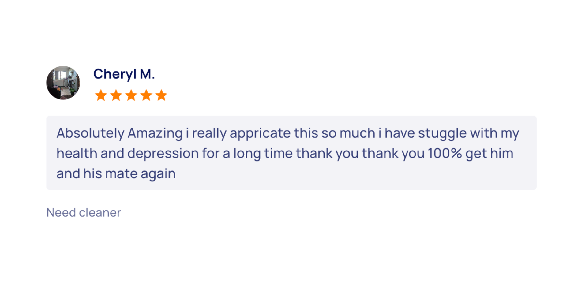 Customer testimonial 2